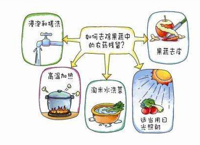 如何減少農(nóng)藥污染去除農(nóng)藥殘留？振華化工總結(jié)以下幾點(diǎn)分享給大家